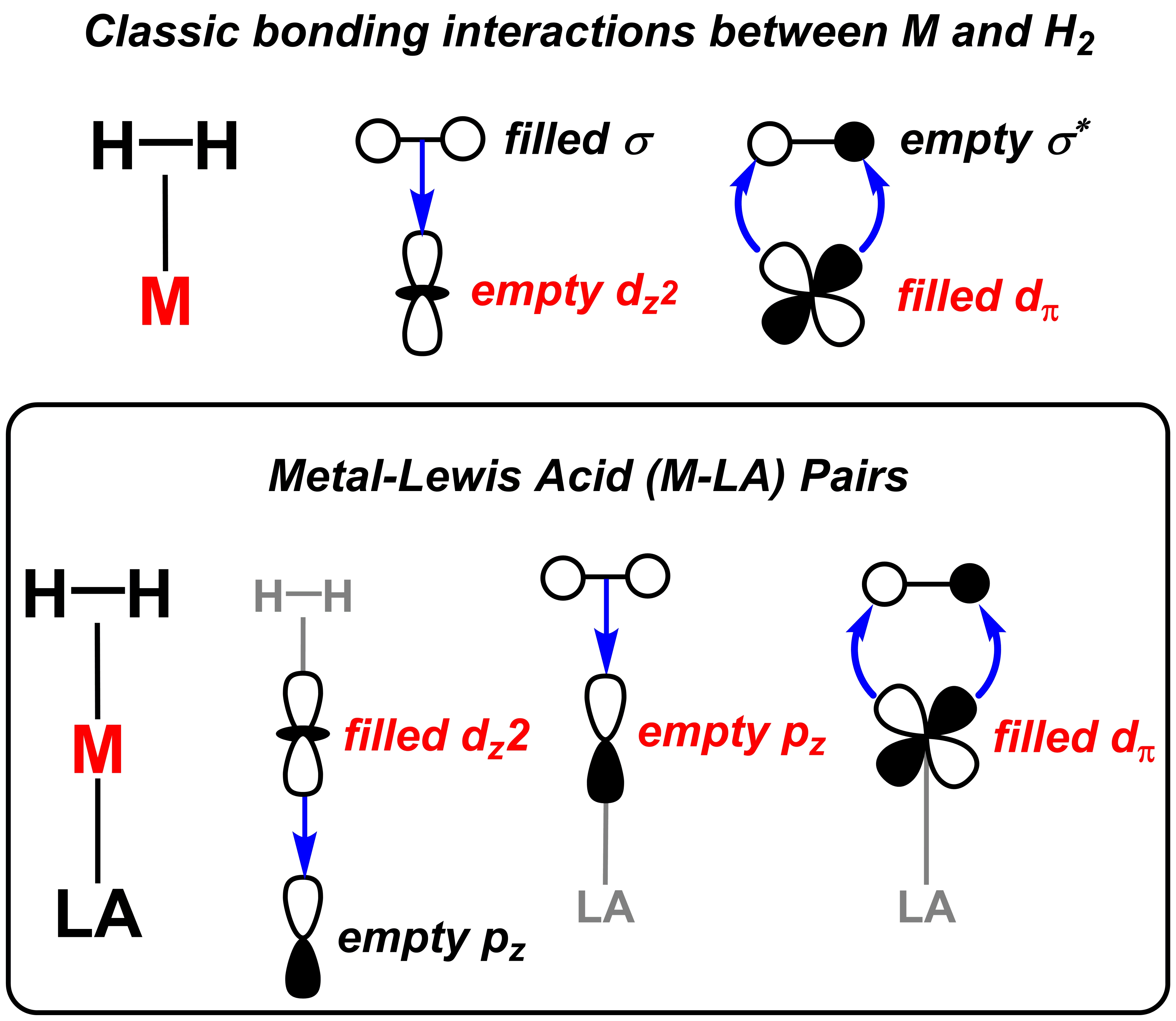orbital interactions for metal H2-binding 