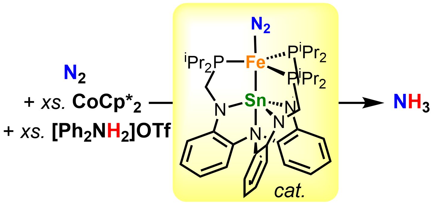 Fe-Sn catalyst for N2 fixation